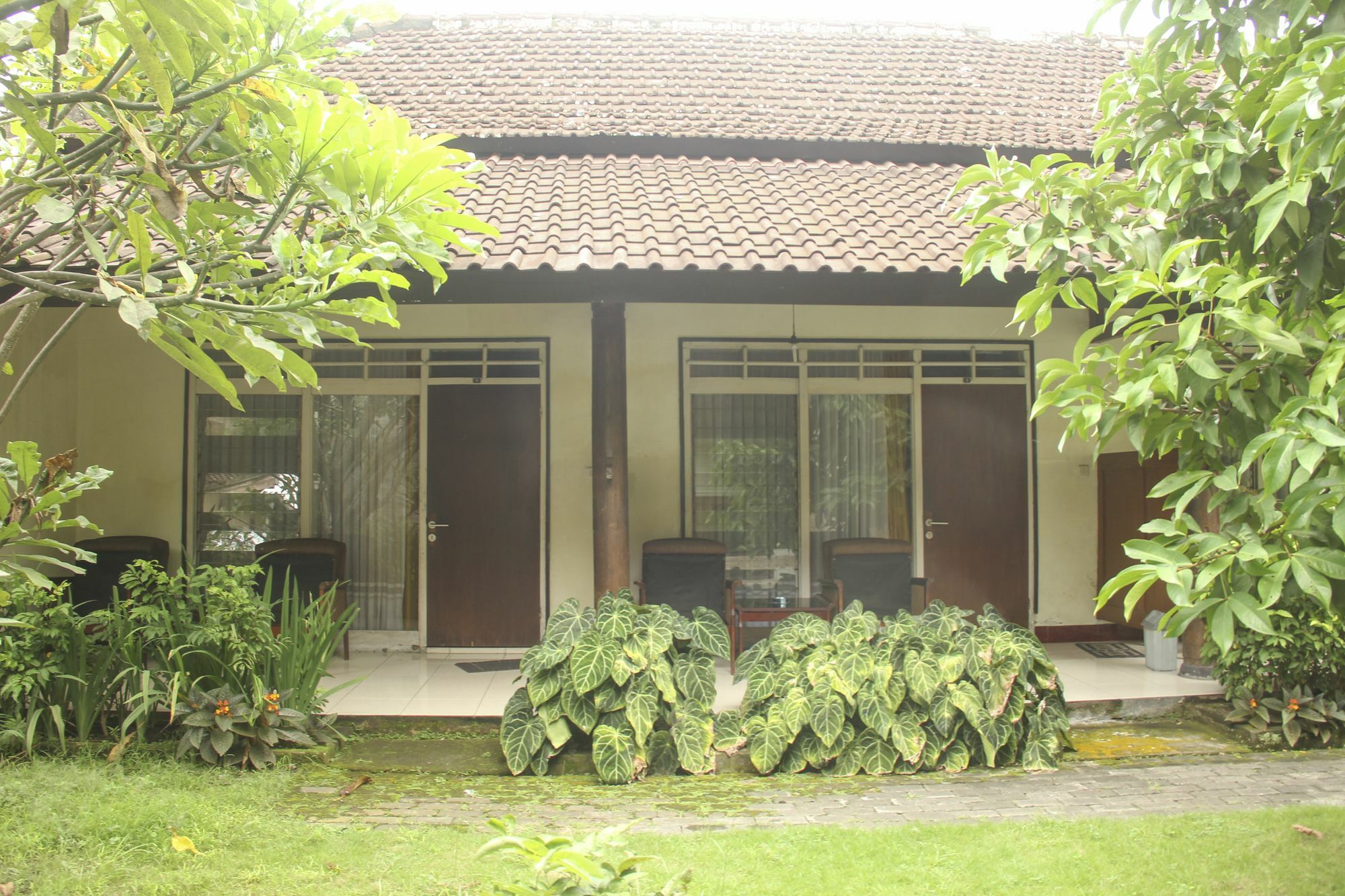 Reddoorz Plus @ Pejanggik Mataram Buitenkant foto